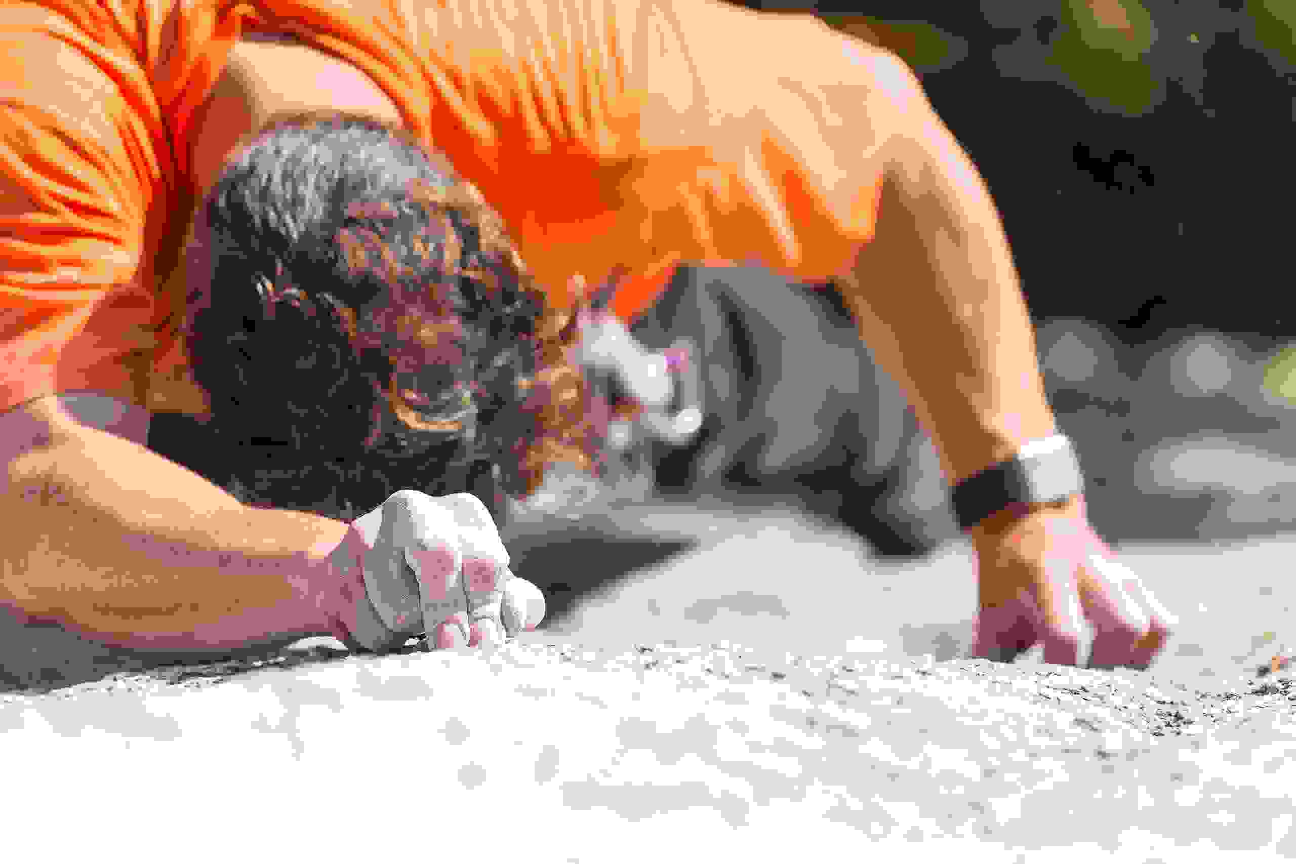 Rock Climbing Nova Scotia Rock Climbing Guidebook, Nova Scotia